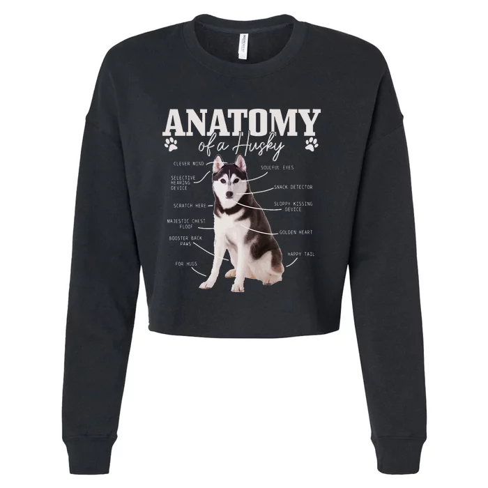 Anatomy Of A Siberian Husky Funny Cute Dog Husky Mom Dad Cropped Pullover Crew