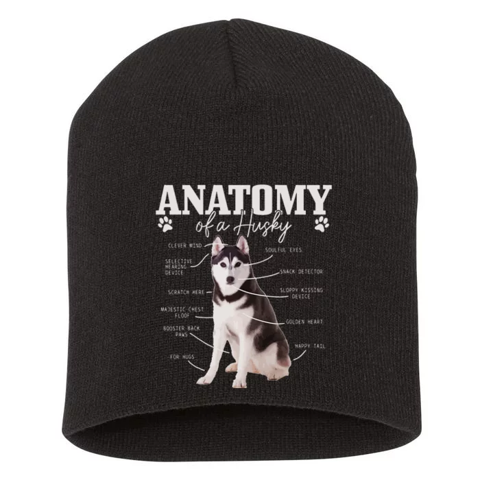 Anatomy Of A Siberian Husky Funny Cute Dog Husky Mom Dad Short Acrylic Beanie