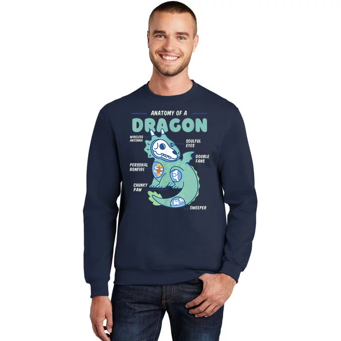 Anatomy Of A Dragon, Funny Dragon Shirt Boys Sweatshirt