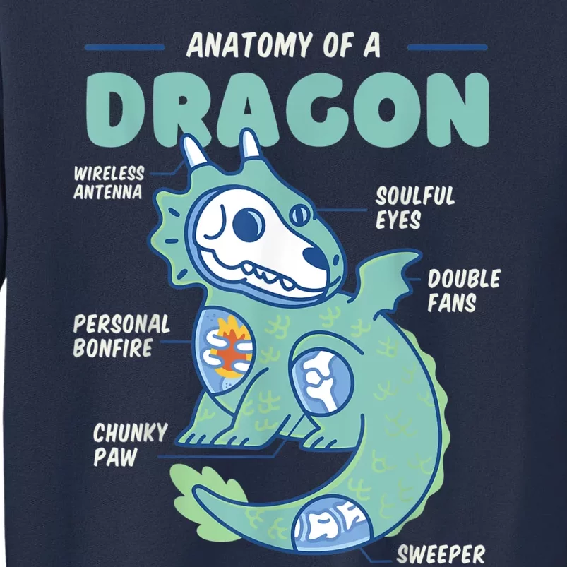 Anatomy Of A Dragon, Funny Dragon Shirt Boys Sweatshirt