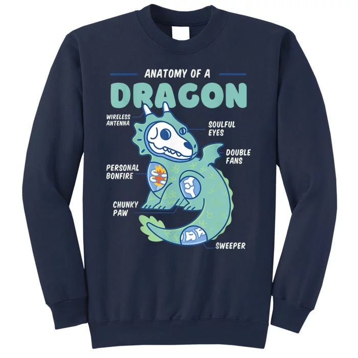 Anatomy Of A Dragon, Funny Dragon Shirt Boys Sweatshirt