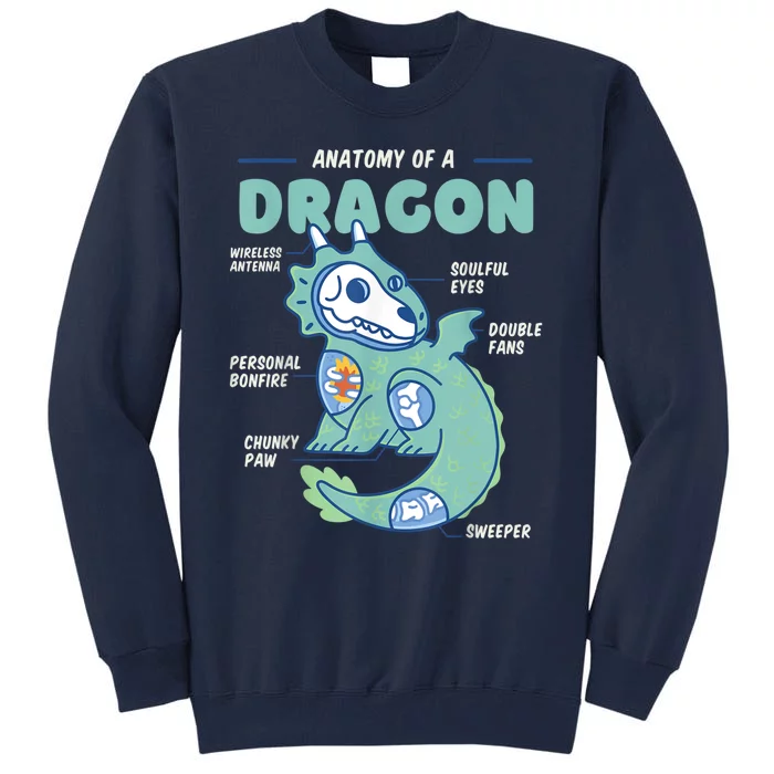 Anatomy Of A Dragon, Funny Dragon Shirt Boys Tall Sweatshirt