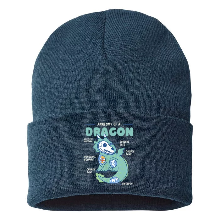 Anatomy Of A Dragon, Funny Dragon Shirt Boys Sustainable Knit Beanie