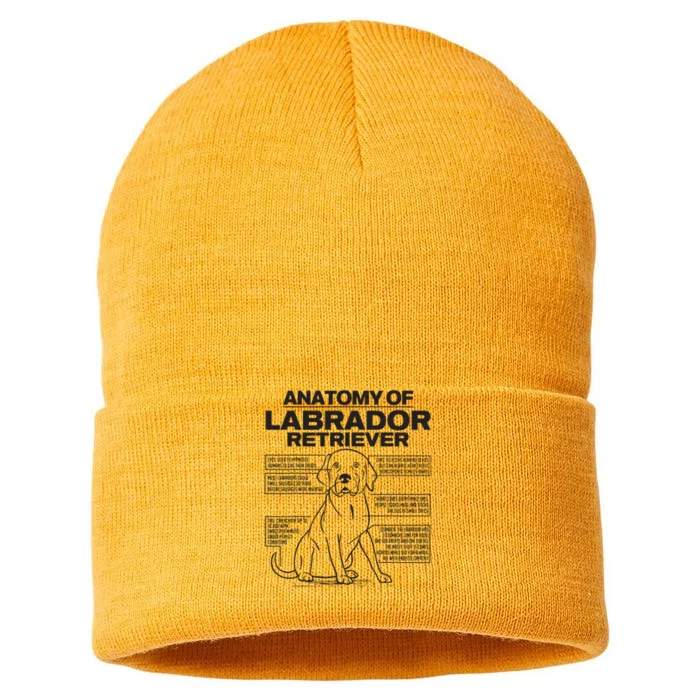 Anatomy Of A Labrador Retriever Funny Dog Owner Gifts Sustainable Knit Beanie