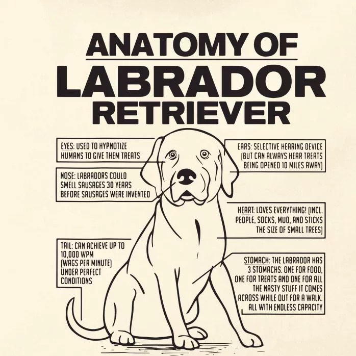 Anatomy Of A Labrador Retriever Funny Dog Owner Gifts Zip Tote Bag