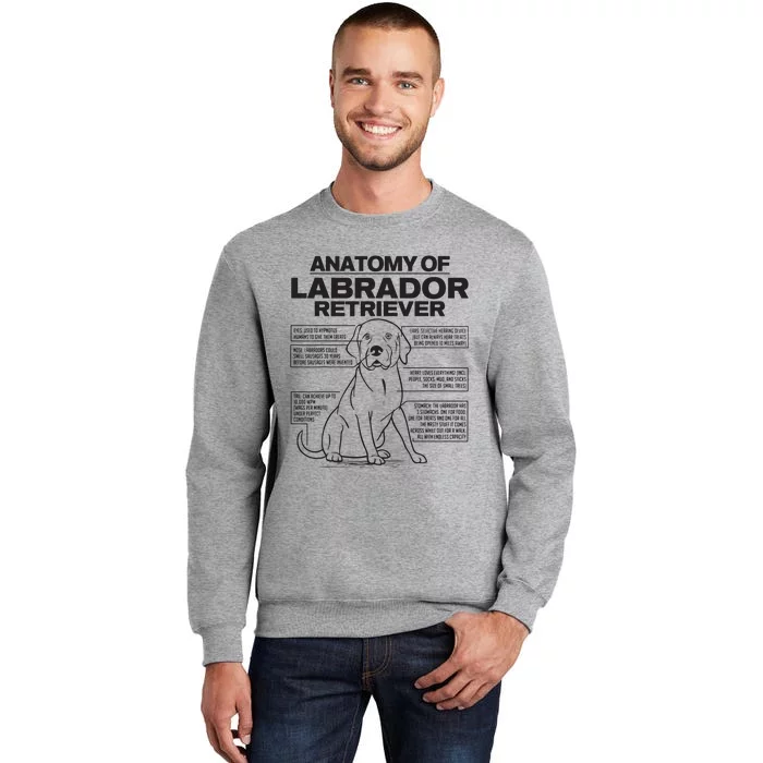 Anatomy Of A Labrador Retriever Funny Dog Owner Gifts Sweatshirt