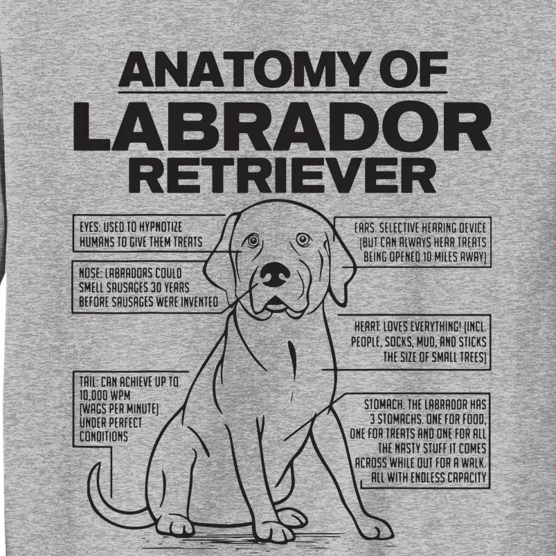 Anatomy Of A Labrador Retriever Funny Dog Owner Gifts Sweatshirt