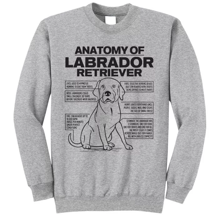 Anatomy Of A Labrador Retriever Funny Dog Owner Gifts Sweatshirt