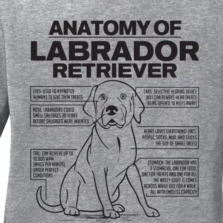 Anatomy Of A Labrador Retriever Funny Dog Owner Gifts Ladies Long Sleeve Shirt