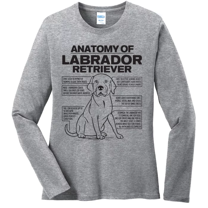 Anatomy Of A Labrador Retriever Funny Dog Owner Gifts Ladies Long Sleeve Shirt