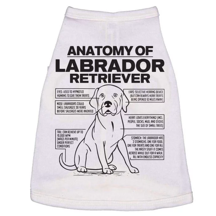 Anatomy Of A Labrador Retriever Funny Dog Owner Gifts Doggie Tank