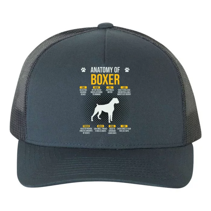 Anatomy Of Boxer Dog Lover Funny Yupoong Adult 5-Panel Trucker Hat