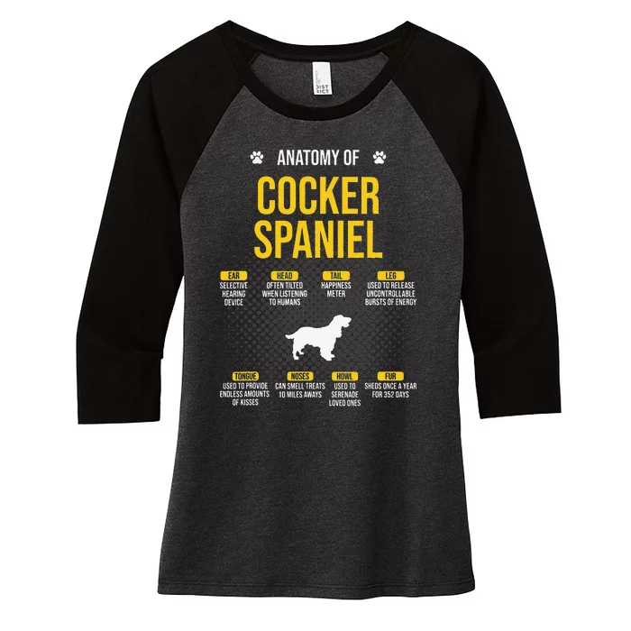 Anatomy Of Cocker Spaniel funny Dog Lover Women's Tri-Blend 3/4-Sleeve Raglan Shirt