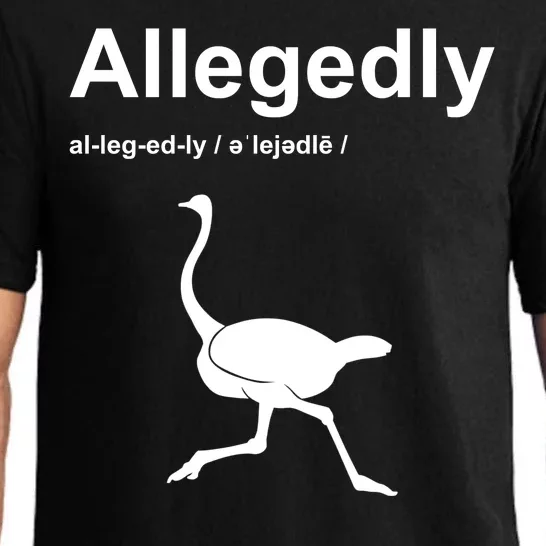 Allegedly Ostrich Funny Pajama Set