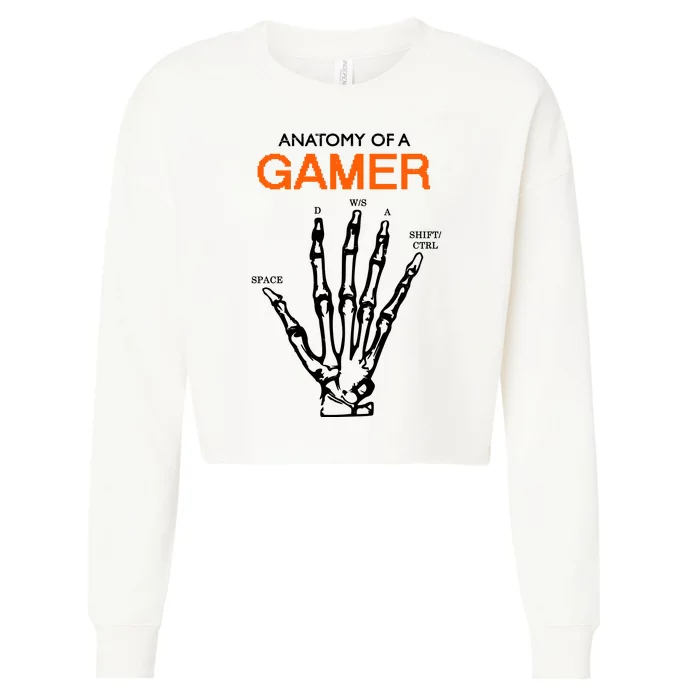 Anatomy Of Gamer Funny Gaming Cropped Pullover Crew