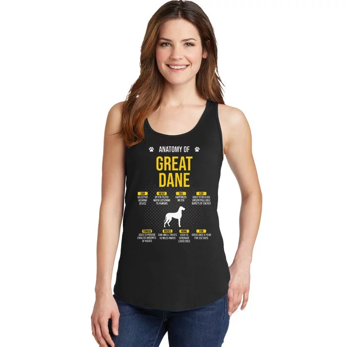 Anatomy Of Great Dane Dog Lover Ladies Essential Tank