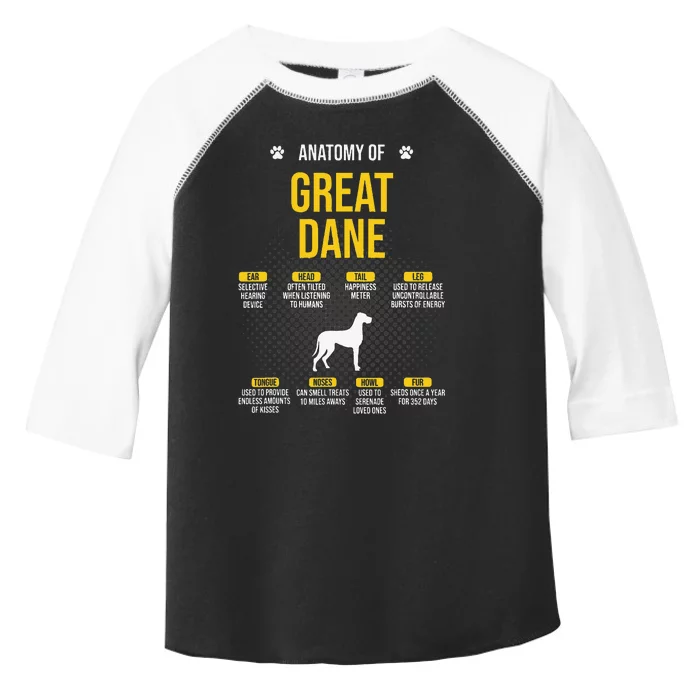 Anatomy Of Great Dane Dog Lover Toddler Fine Jersey T-Shirt