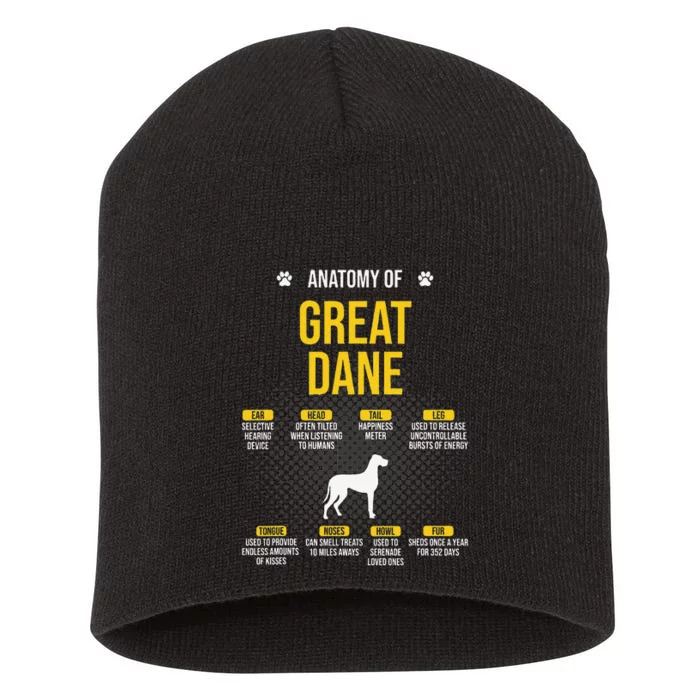 Anatomy Of Great Dane Dog Lover Short Acrylic Beanie