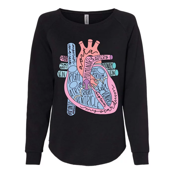 Anatomical Of Heart Cardiac Nurse Practioner Sonographer Womens California Wash Sweatshirt