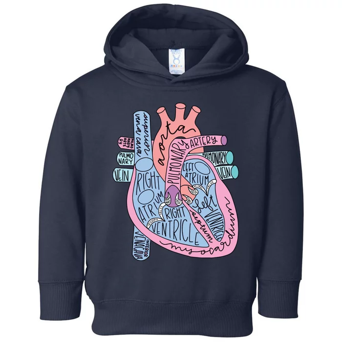 Anatomical Of Heart Cardiac Nurse Practioner Sonographer Toddler Hoodie