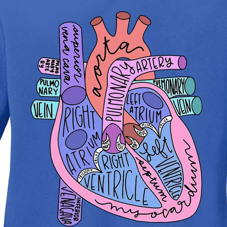 Anatomical Of Heart Cardiac Nurse Practioner Sonographer Ladies Long Sleeve Shirt