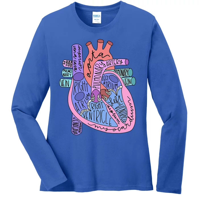 Anatomical Of Heart Cardiac Nurse Practioner Sonographer Ladies Long Sleeve Shirt