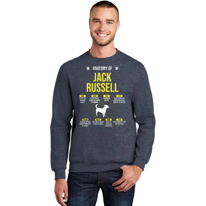 Anatomy Of Jack Russell Dog Lover Sweatshirt