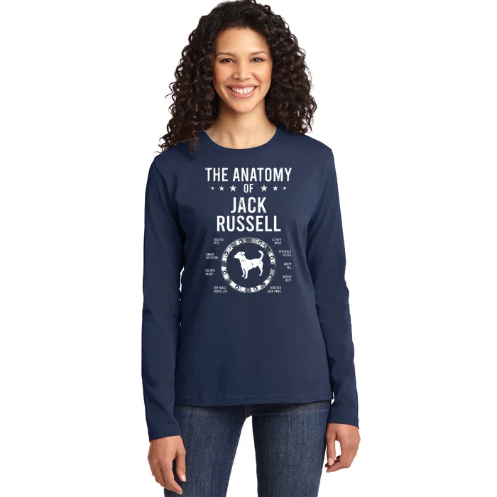 Anatomy Of Jack Russell Dog Lover Ladies Long Sleeve Shirt