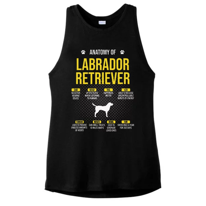 Anatomy Of Labrador Retriever Dog Lover Ladies Tri-Blend Wicking Tank