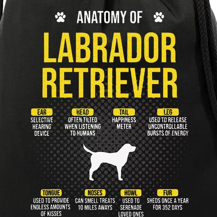 Anatomy Of Labrador Retriever Dog Lover Drawstring Bag