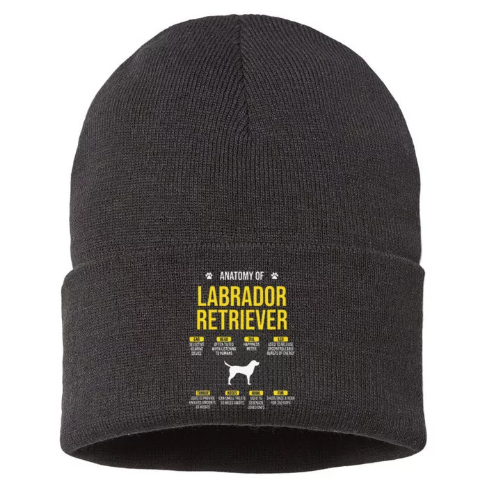 Anatomy Of Labrador Retriever Dog Lover Sustainable Knit Beanie