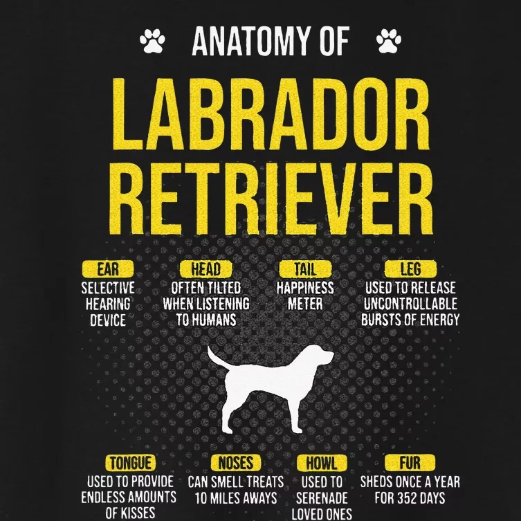 Anatomy Of Labrador Retriever Dog Lover Women's Crop Top Tee