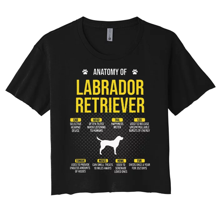 Anatomy Of Labrador Retriever Dog Lover Women's Crop Top Tee