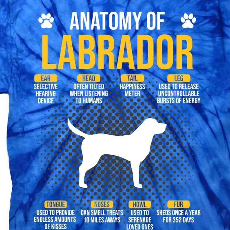 Anatomy Of Labrador Dog Lover Cool Gift Tie-Dye T-Shirt