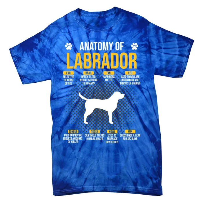 Anatomy Of Labrador Dog Lover Cool Gift Tie-Dye T-Shirt