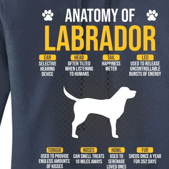 Anatomy Of Labrador Dog Lover Cool Gift Women's Pullover Hoodie