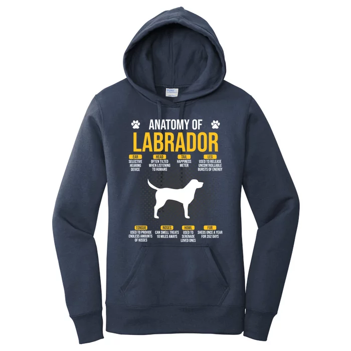 Anatomy Of Labrador Dog Lover Cool Gift Women's Pullover Hoodie