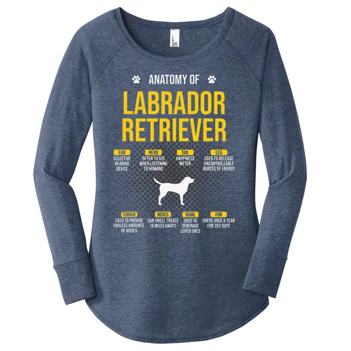 Anatomy Of Labrador Retriever Dog Lover Women's Perfect Tri Tunic Long Sleeve Shirt