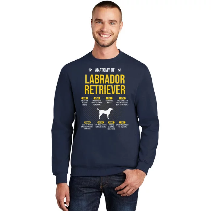 Anatomy Of Labrador Retriever Dog Lover Tall Sweatshirt