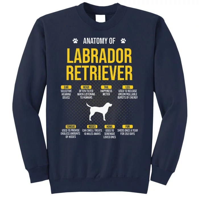 Anatomy Of Labrador Retriever Dog Lover Tall Sweatshirt