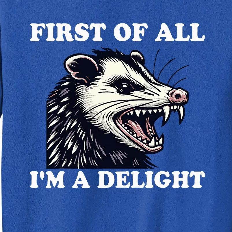 Angry Opossum Lover First Of All IM A Delight Sweatshirt