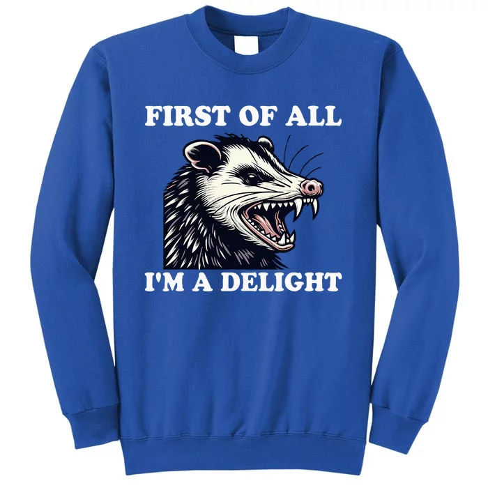 Angry Opossum Lover First Of All IM A Delight Sweatshirt