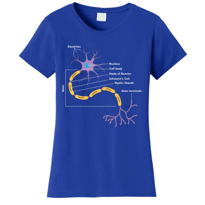 Anatomy Of Neuron Neurologist Gift Women's T-Shirt