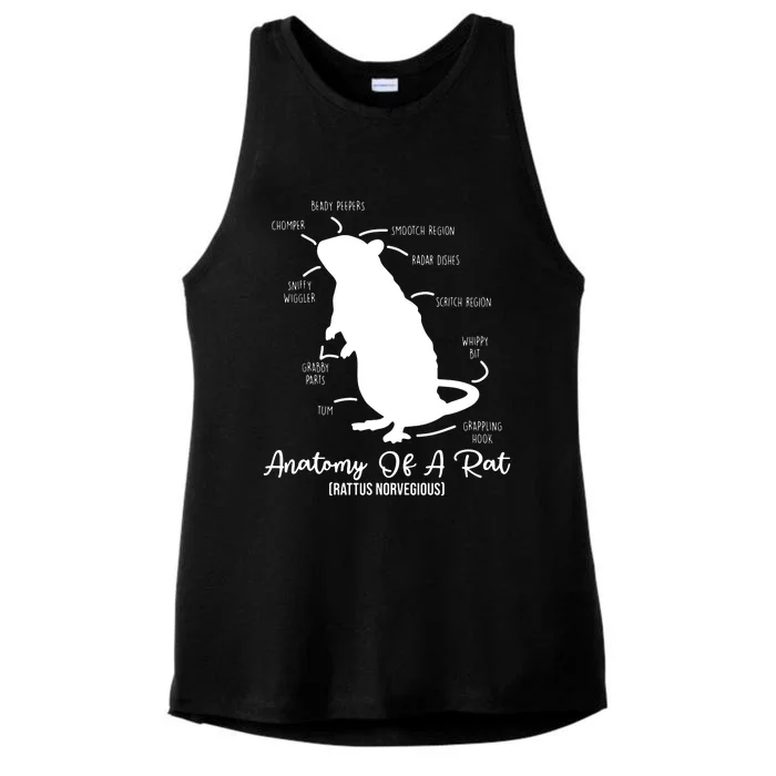 Anatomy Of Rat For Any Rat Lovers And Pet Rat Owners Ladies Tri-Blend Wicking Tank