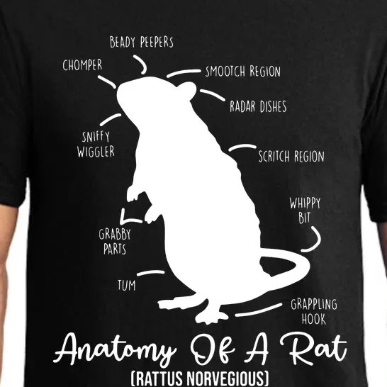 Anatomy Of Rat For Any Rat Lovers And Pet Rat Owners Pajama Set