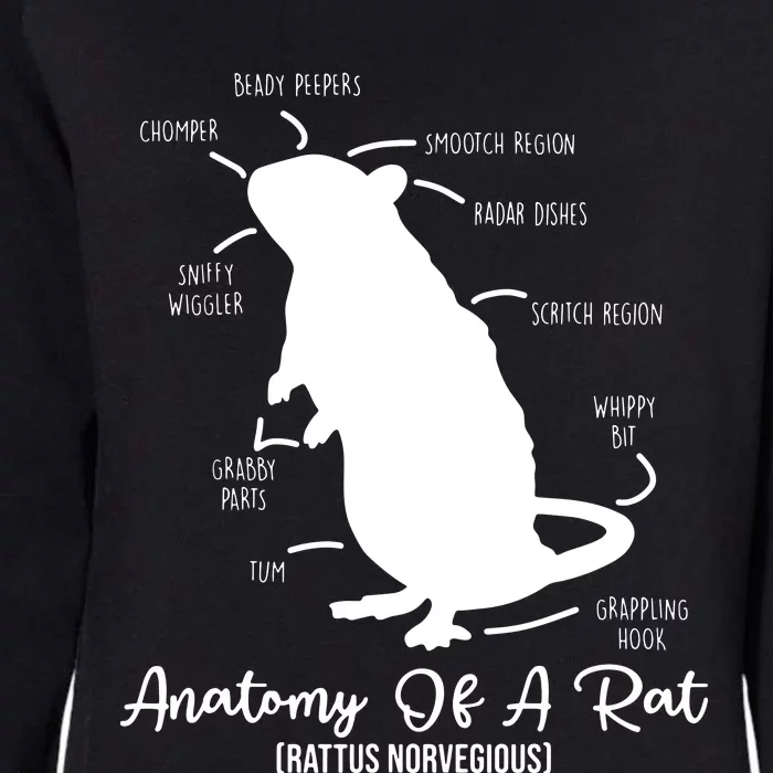 Anatomy Of Rat For Any Rat Lovers And Pet Rat Owners Womens California Wash Sweatshirt