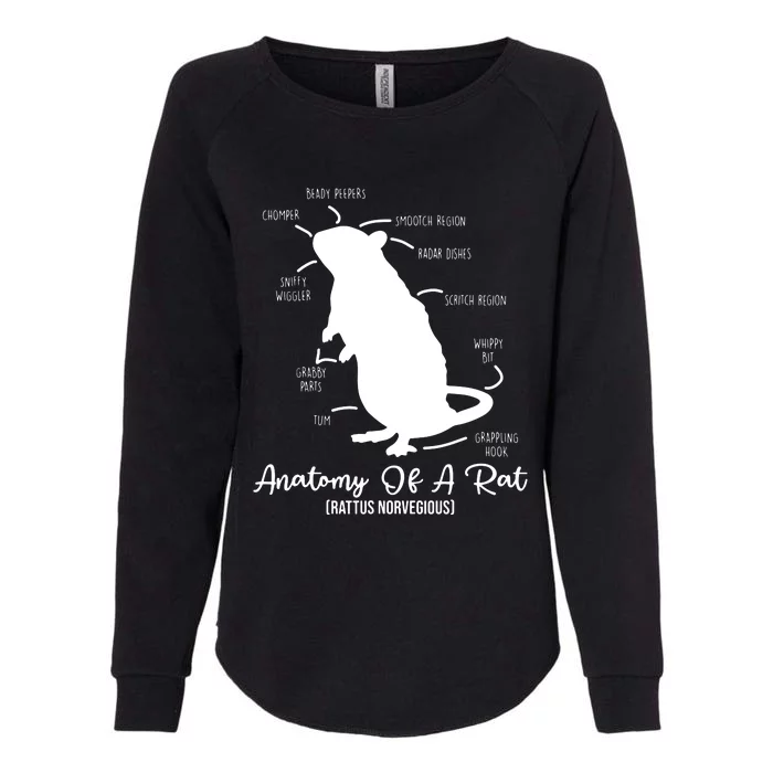 Anatomy Of Rat For Any Rat Lovers And Pet Rat Owners Womens California Wash Sweatshirt