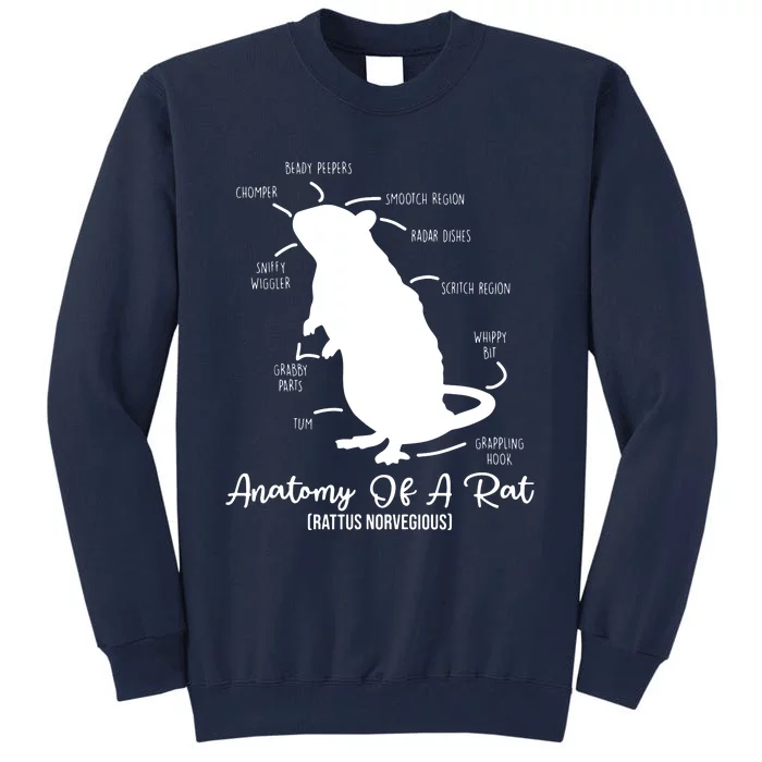 Anatomy Of Rat For Any Rat Lovers And Pet Rat Owners Tall Sweatshirt