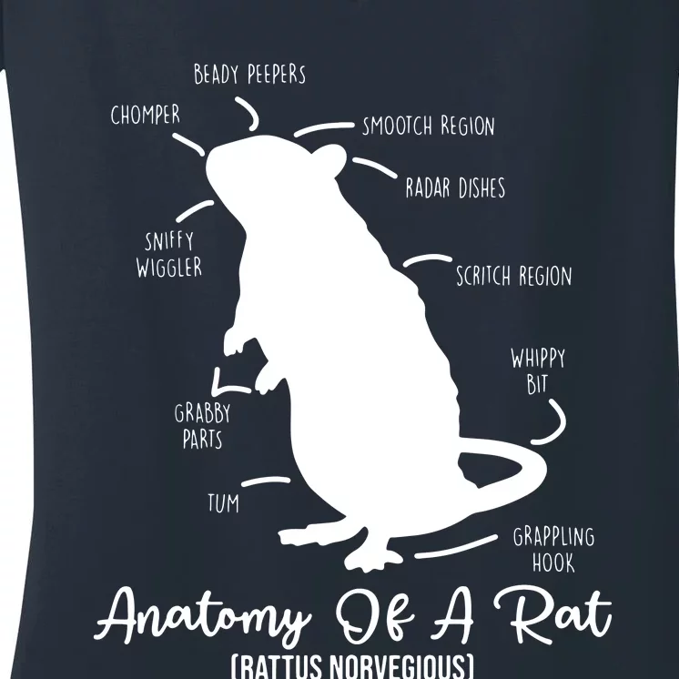 Anatomy Of Rat For Any Rat Lovers And Pet Rat Owners Women's V-Neck T-Shirt