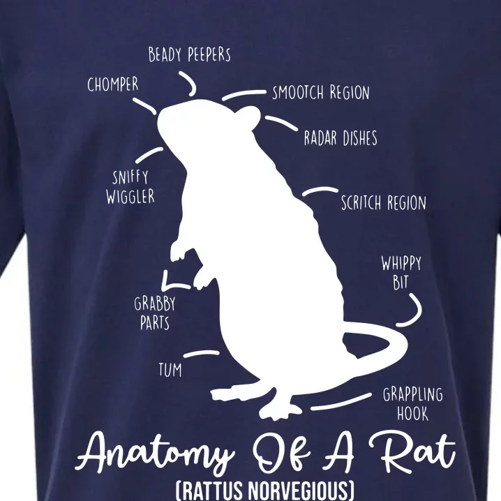 Anatomy Of Rat For Any Rat Lovers And Pet Rat Owners Sueded Cloud Jersey T-Shirt